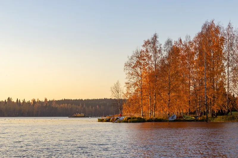 Chasing the Amber Hour: A Photographer's Field Guide to Fall's Most Beautiful Light
