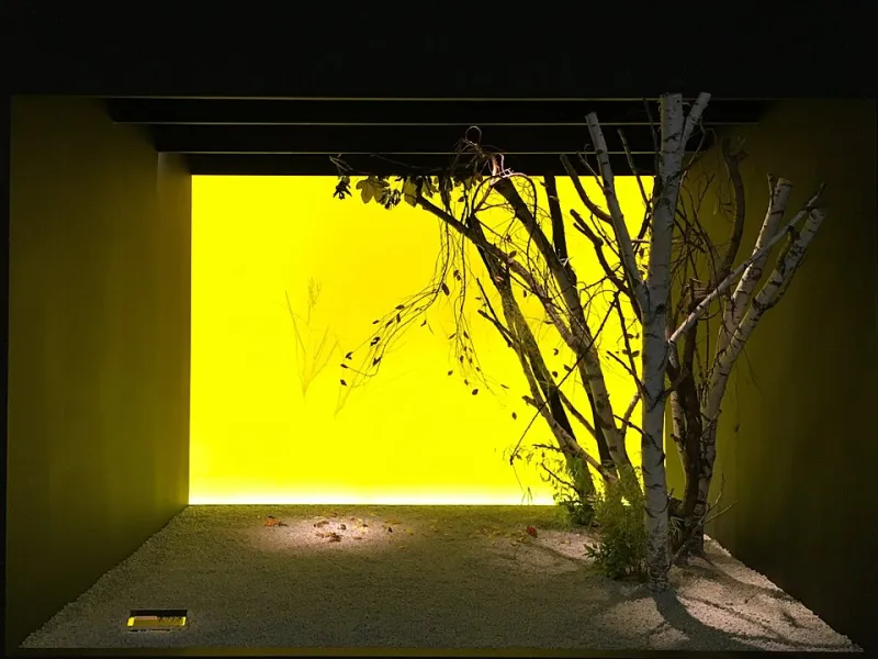 Fall Forever: How Autumn Became the Internet's Default Visual Language