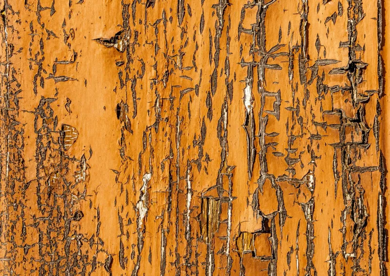 Grit Is the Point: Why Designers Keep Sanding Away the Best Part of the Season