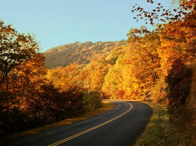 Burned In: Why Rust, Ochre, and Amber Keep Haunting Our Design Choices Year-Round