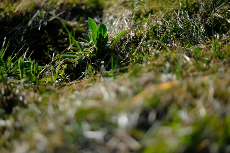 The Season That Got Left Behind: Reclaiming Spring as a Visual Identity