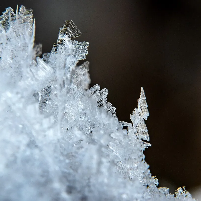 Snow Blindness: How Digital Creatives Are Finally Seeing Winter Clearly