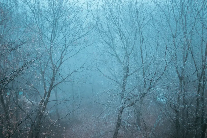 Why Your Winter Designs Feel Lifeless (And How to Stop Blaming the Season)